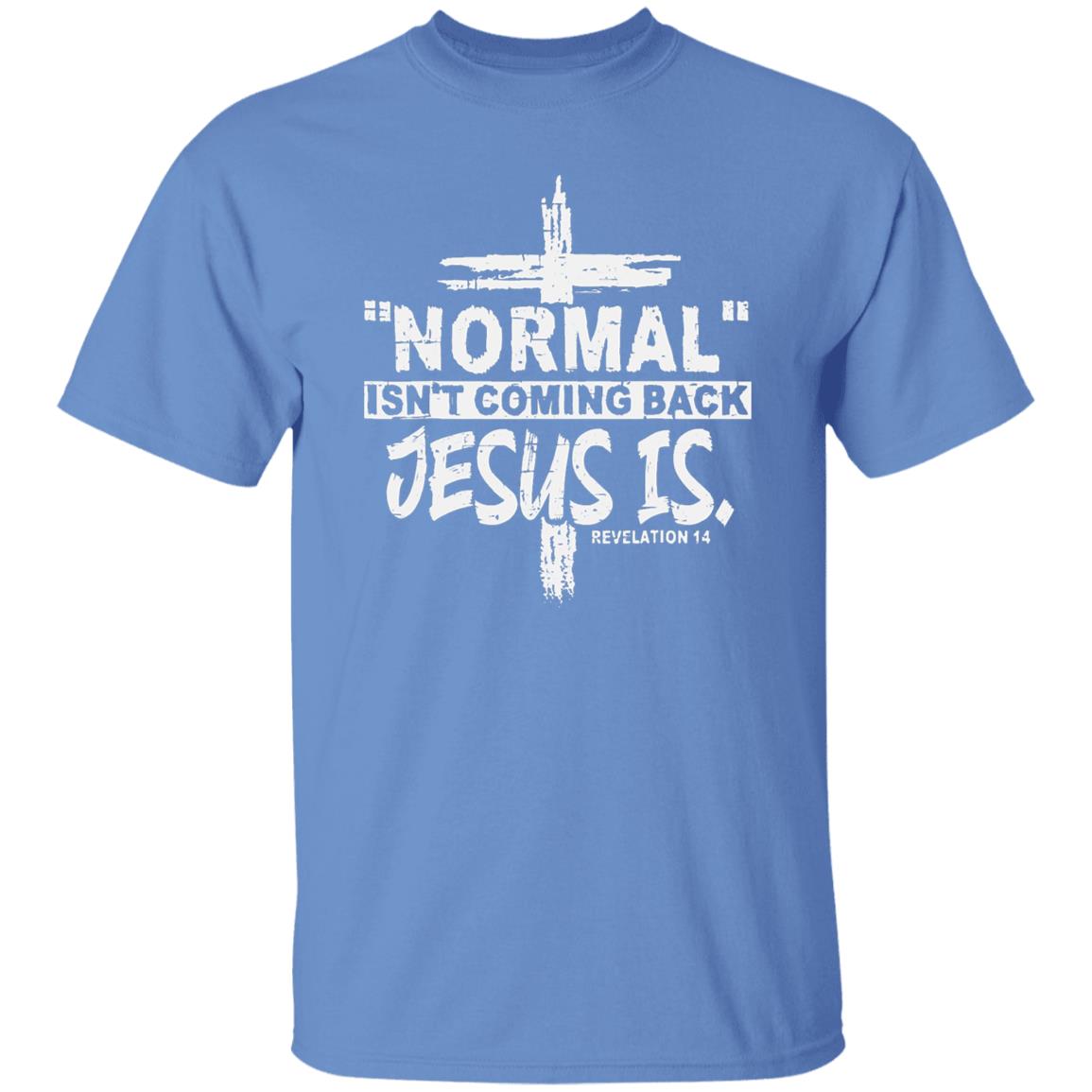 Normal Isn't Coming Back T-Shirt - HIS