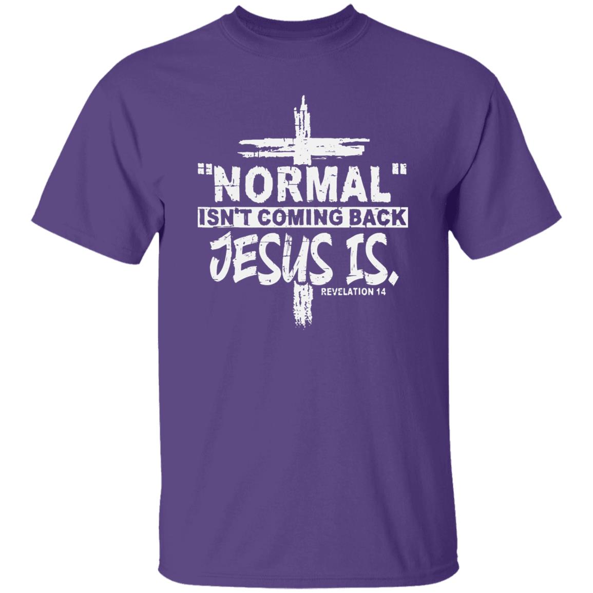 Normal Isn't Coming Back T-Shirt - HER