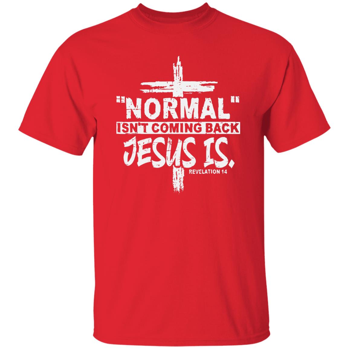 Normal Isn't Coming Back T-Shirt - HIS