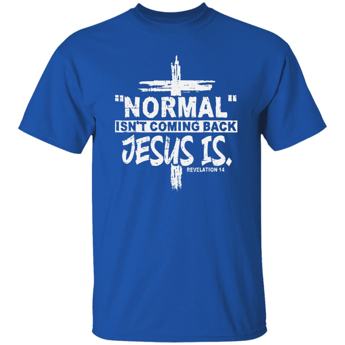 Normal Isn't Coming Back T-Shirt - HIS