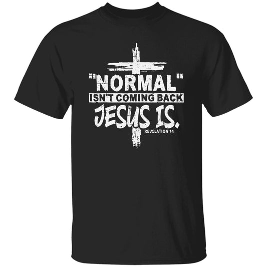 Normal Isn't Coming Back T-Shirt - HIS