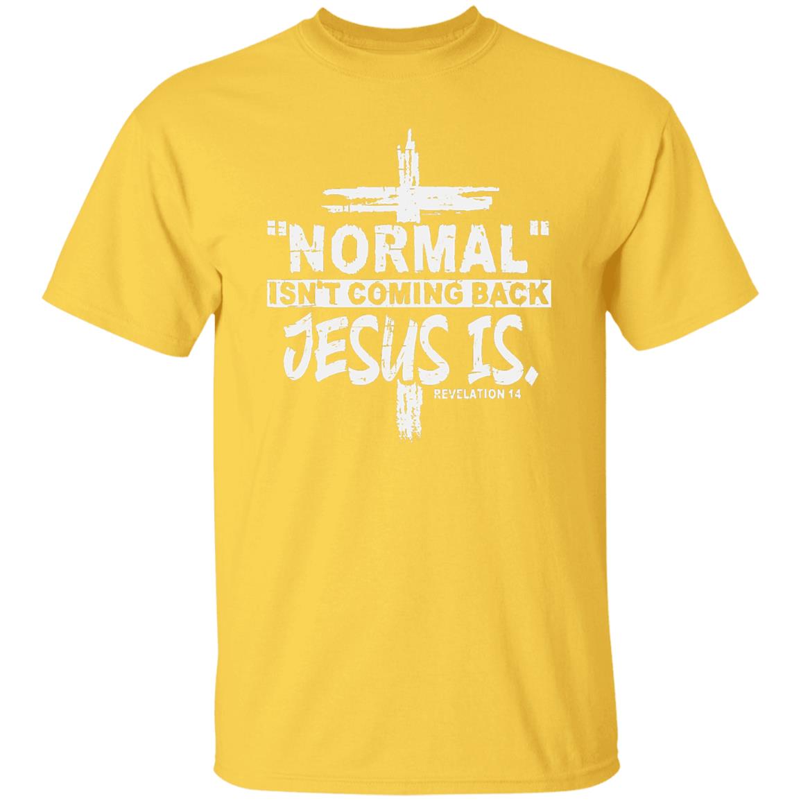 Normal Isn't Coming Back T-Shirt - HER