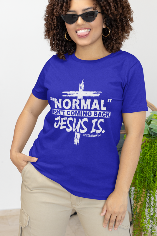 Normal Isn't Coming Back T-Shirt - HER